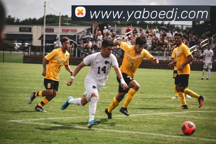 亚博电竞平台生态图